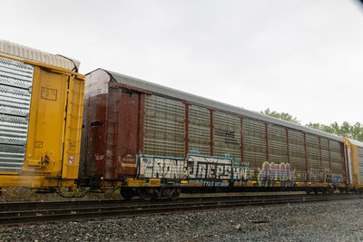 TTGX 973896