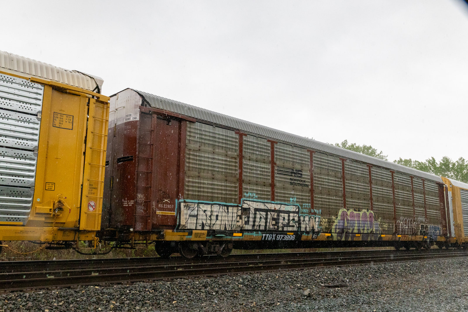 TTGX 973896