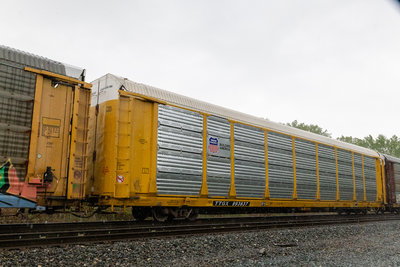 TTGX 993637