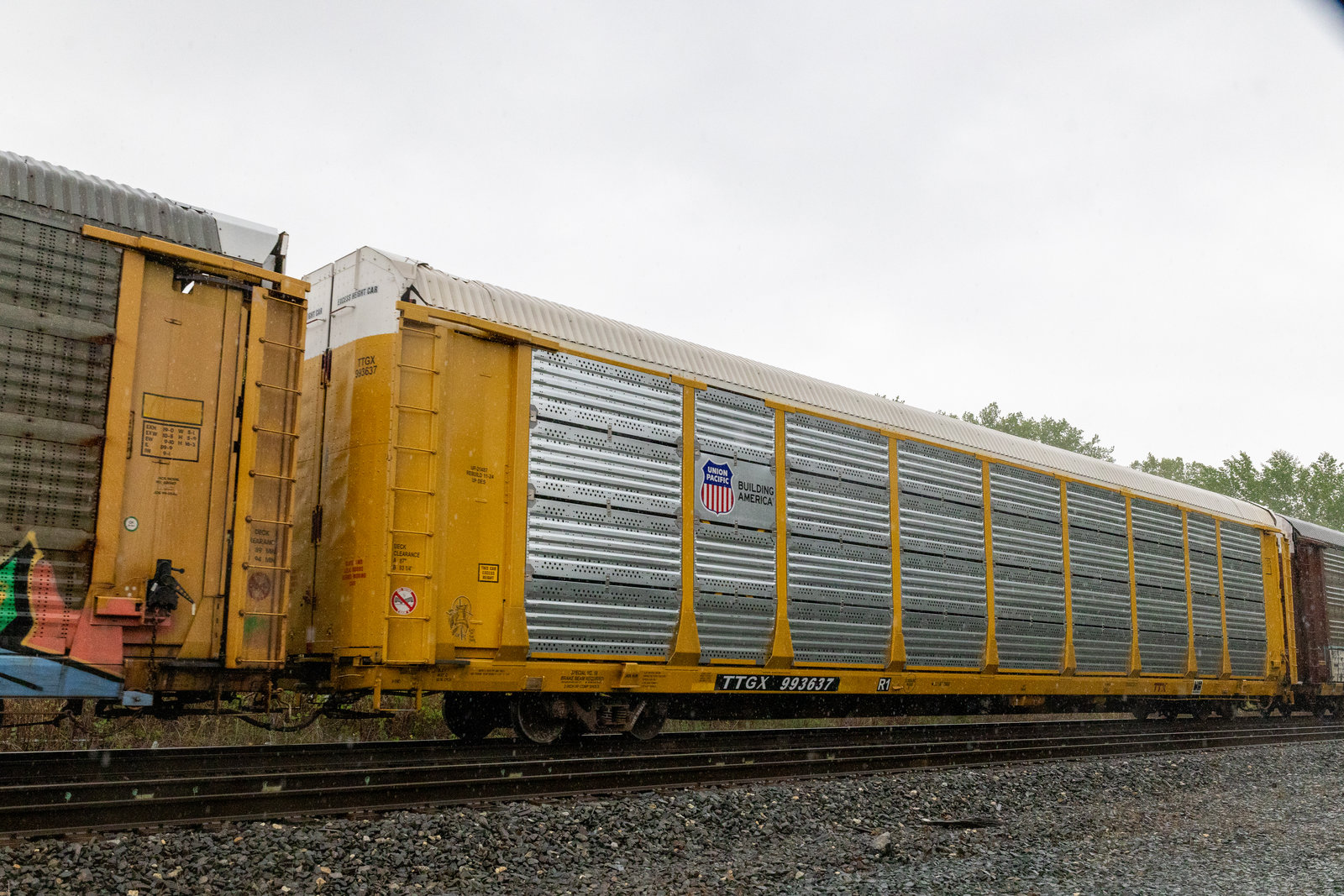 TTGX 993637