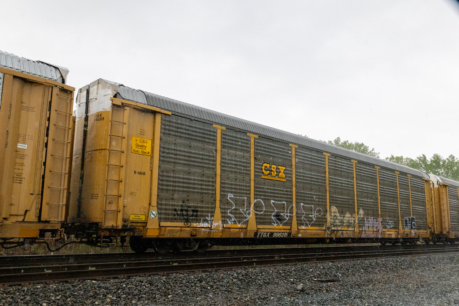 TTGX 996315