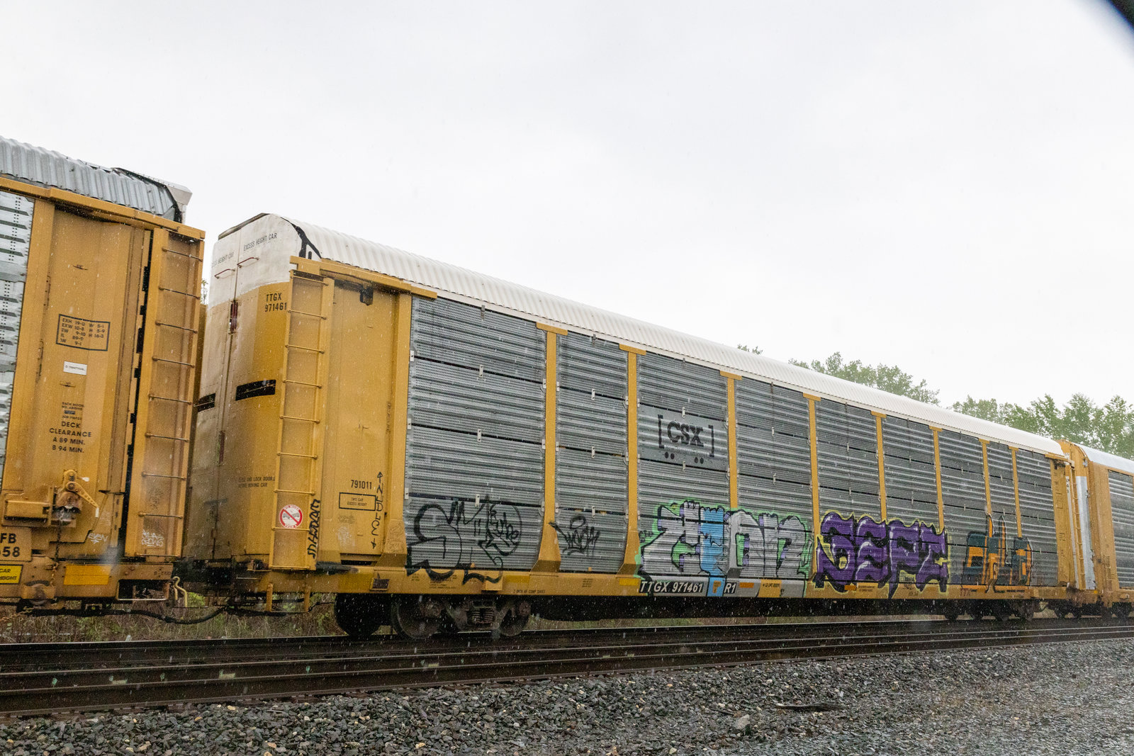 TTGX 971461