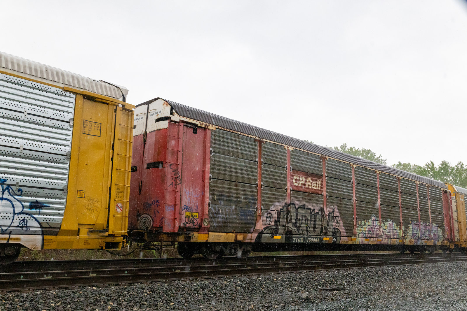 TTGX 160064