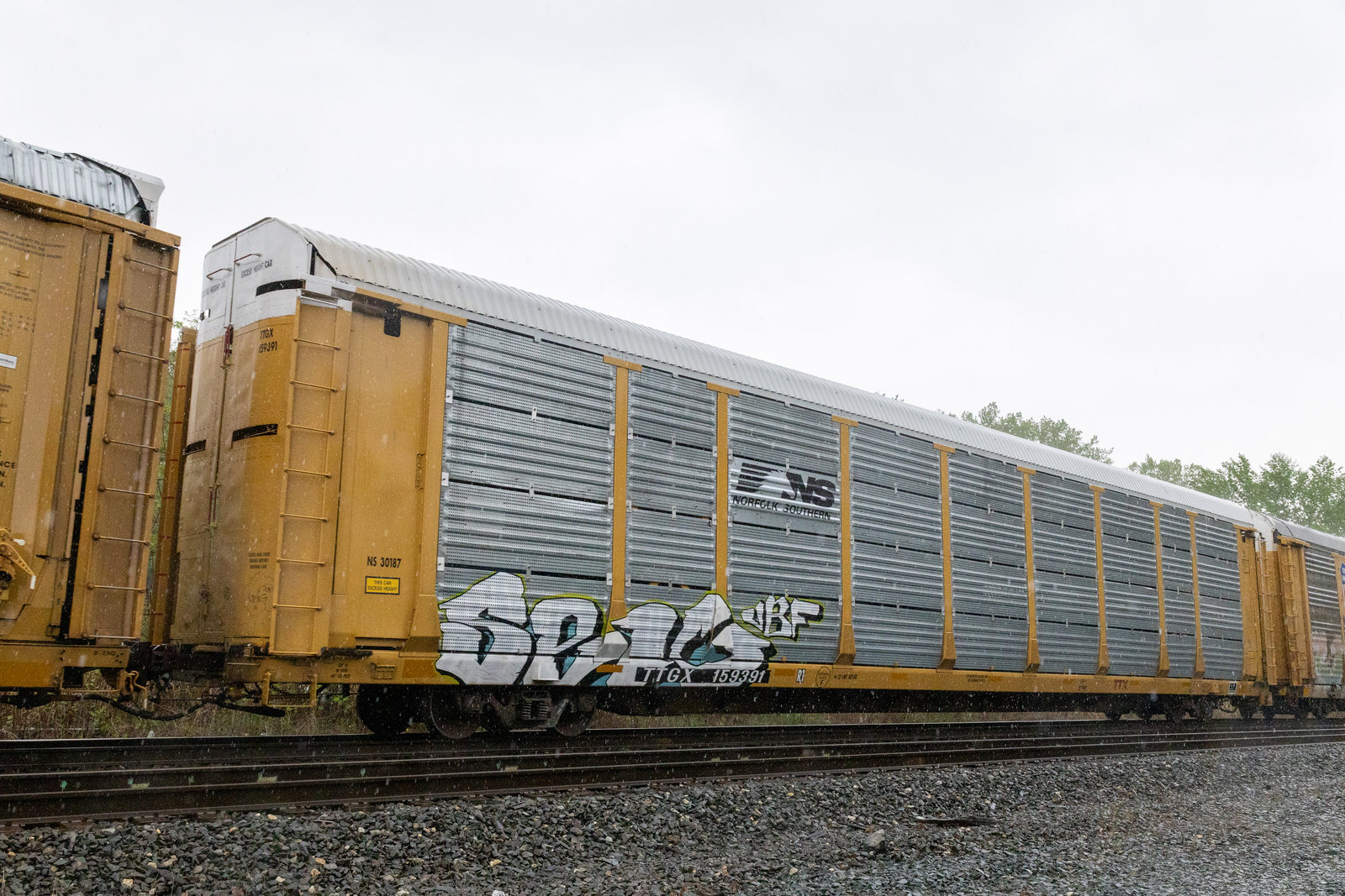 TTGX 159391