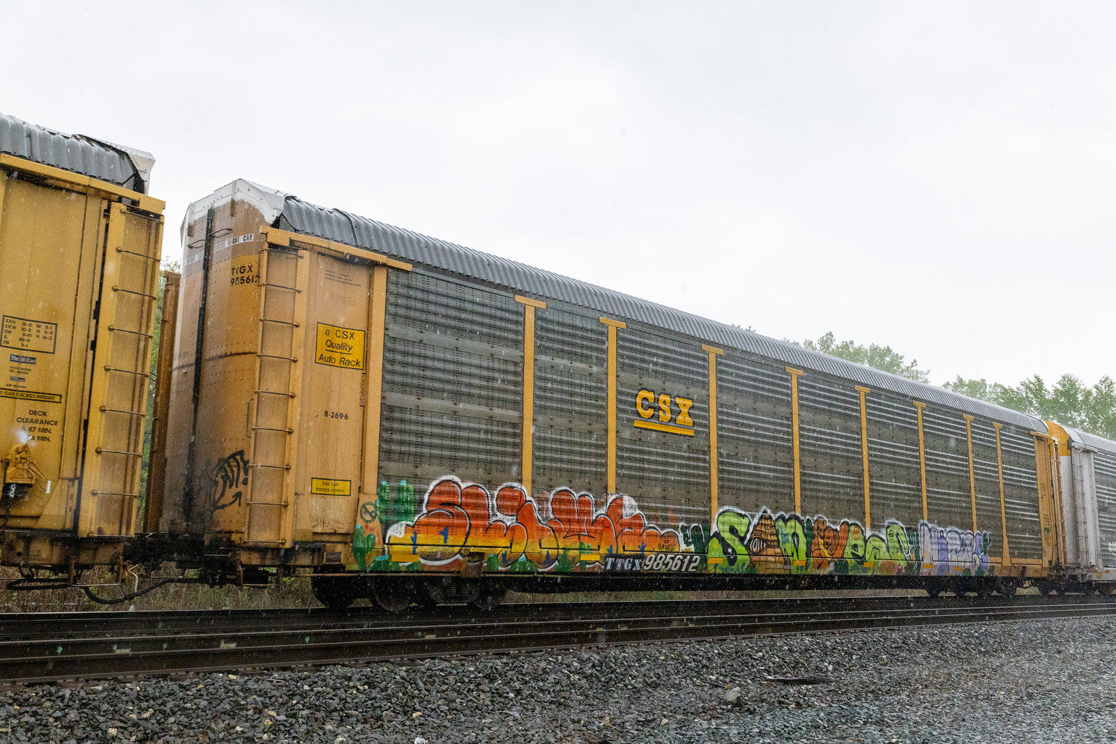 TTGX 985612