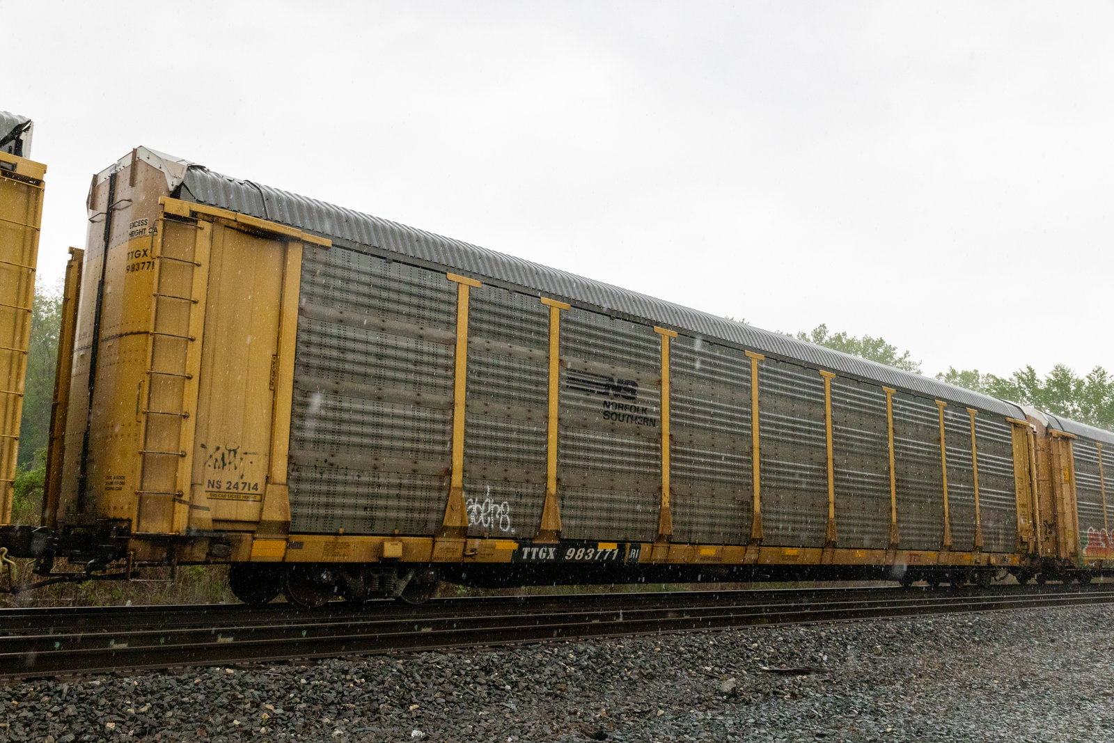 TTGX 983771