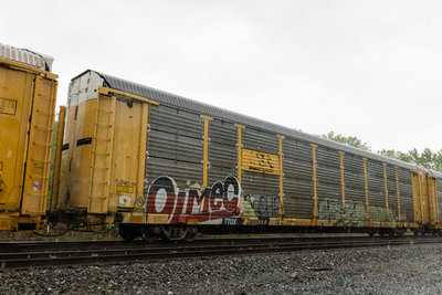 TTGX 965355