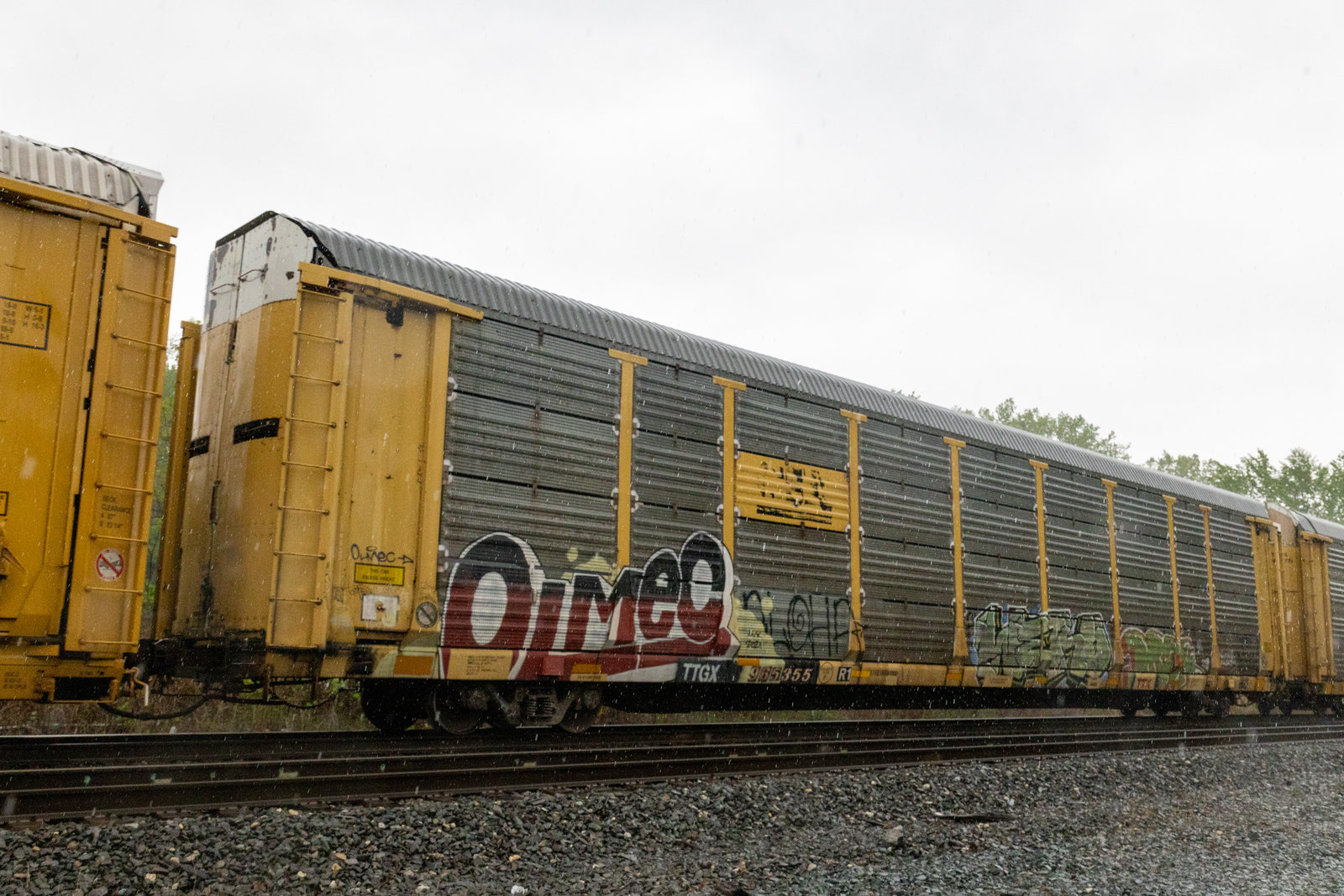TTGX 965355