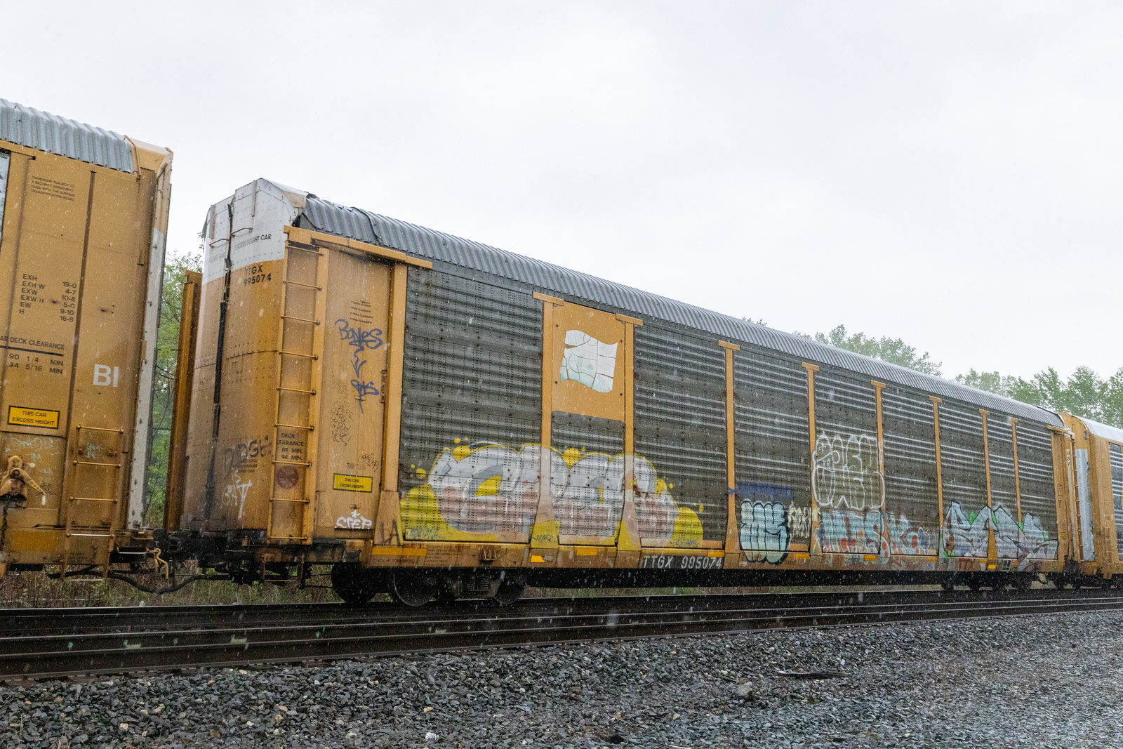 TTGX 995074