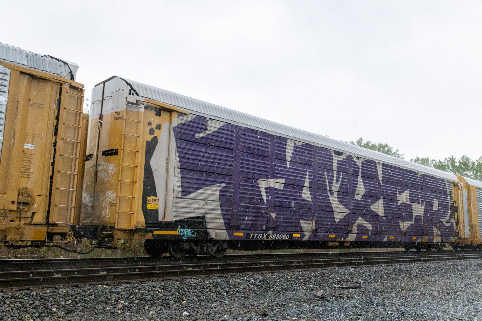 TTGX 963060