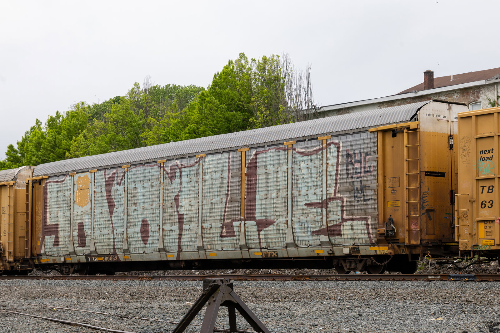 TTGX 980563