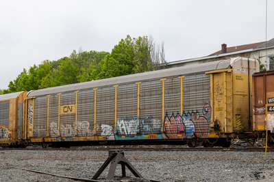 TTGX 982622