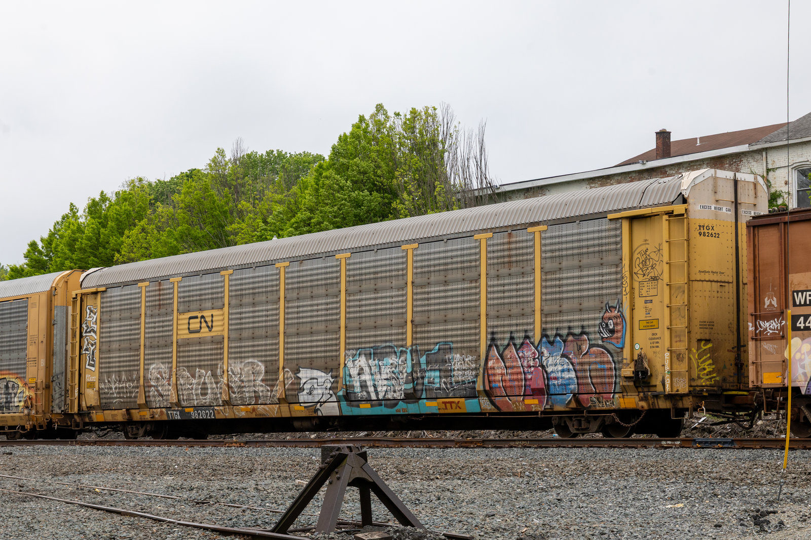 TTGX 982622