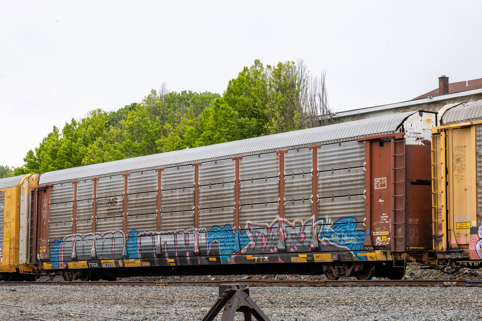 TTGX 983510