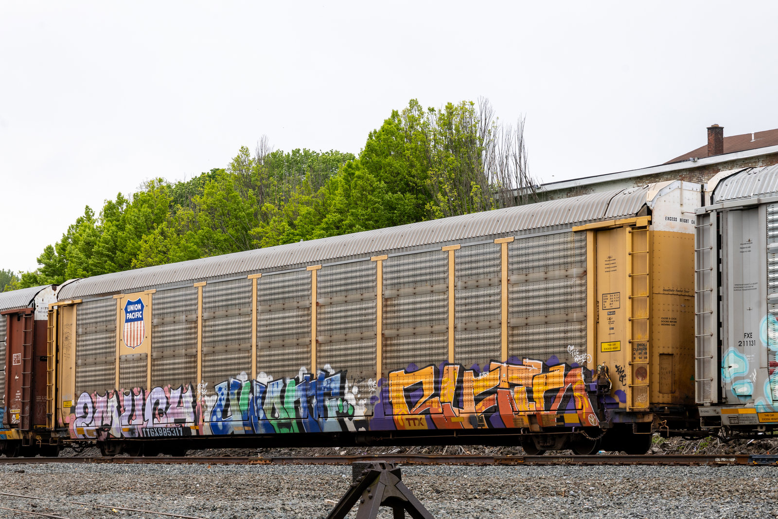 TTGX 985317