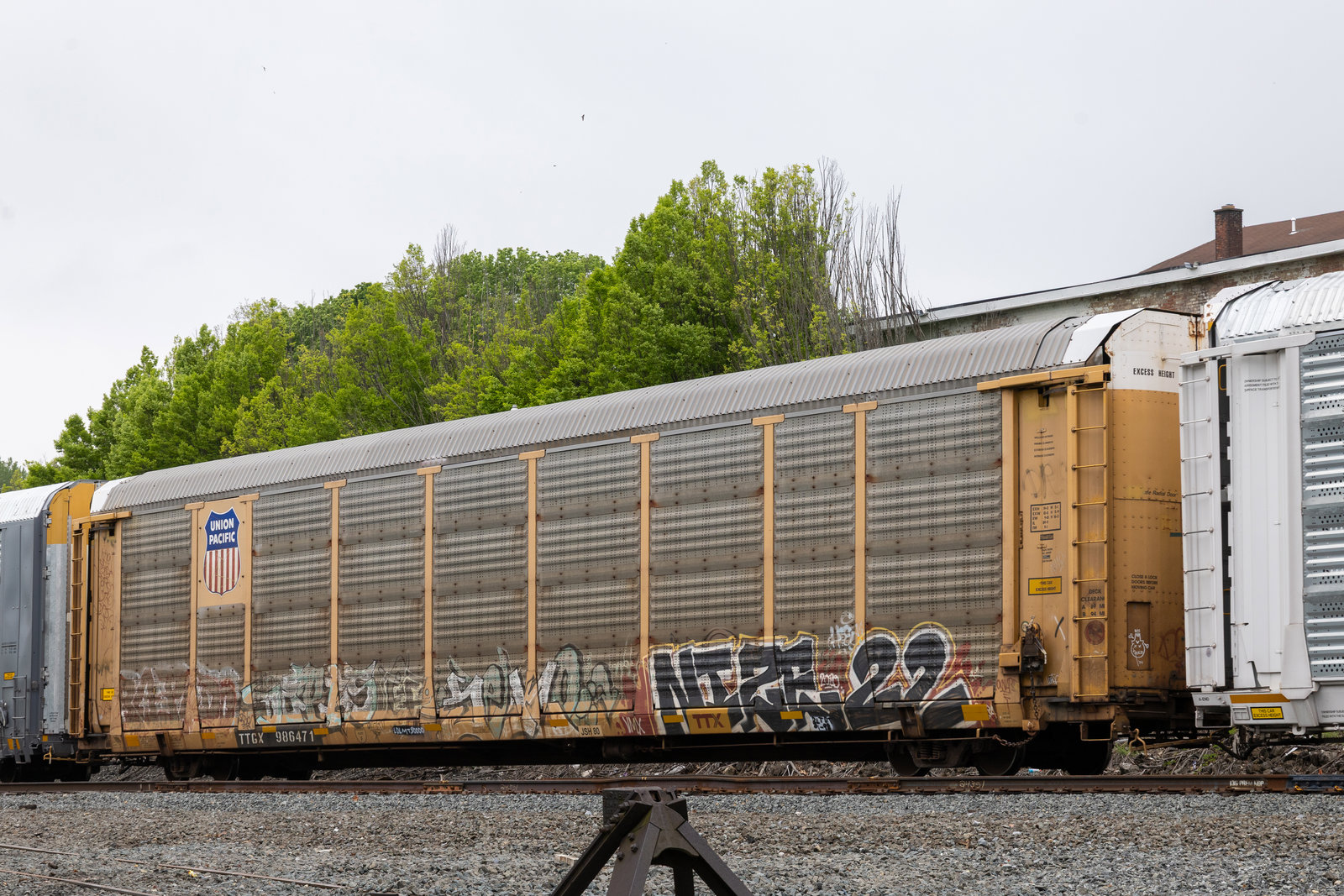 TTGX 986471