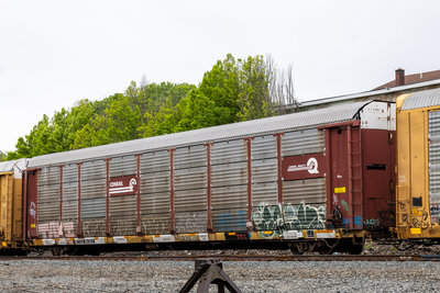 TTGX 981263