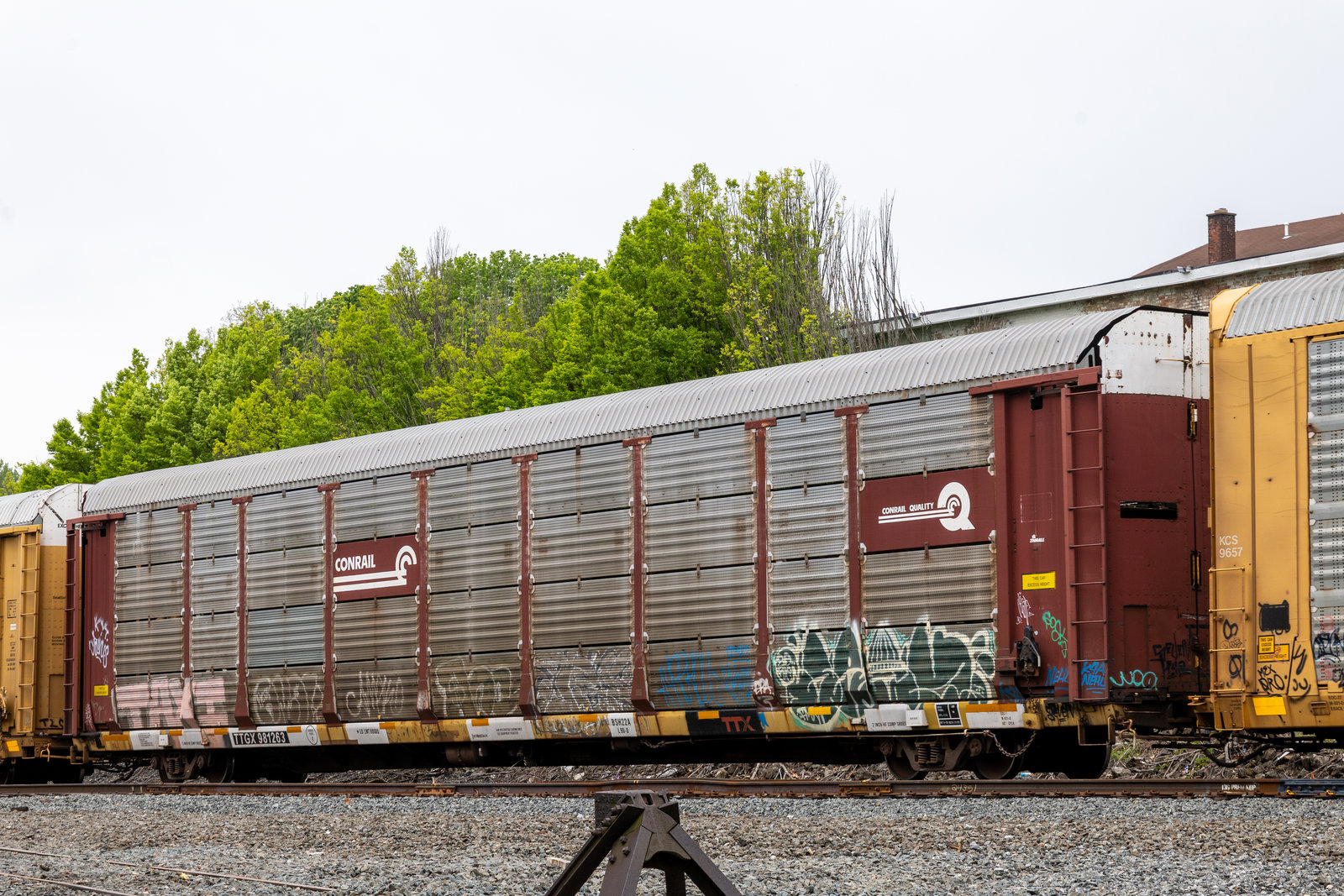 TTGX 981263