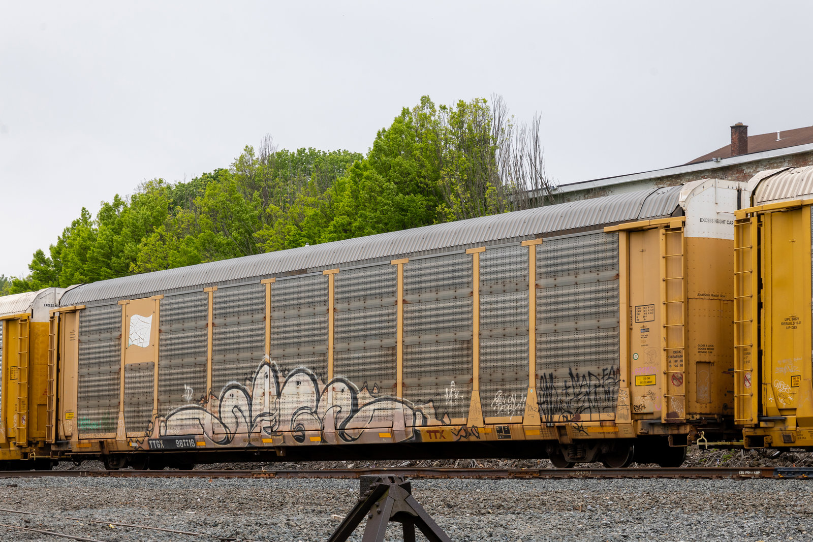 TTGX 987716
