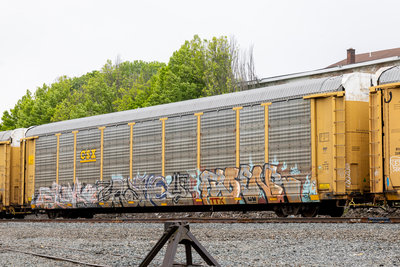 TTGX 952121