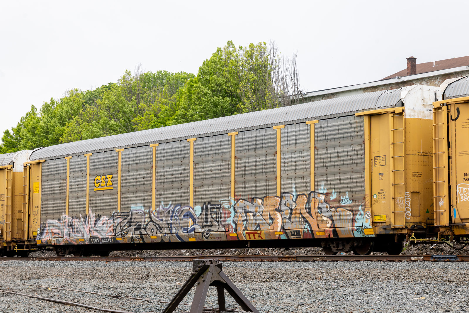 TTGX 952121