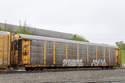 TTGX 964973
