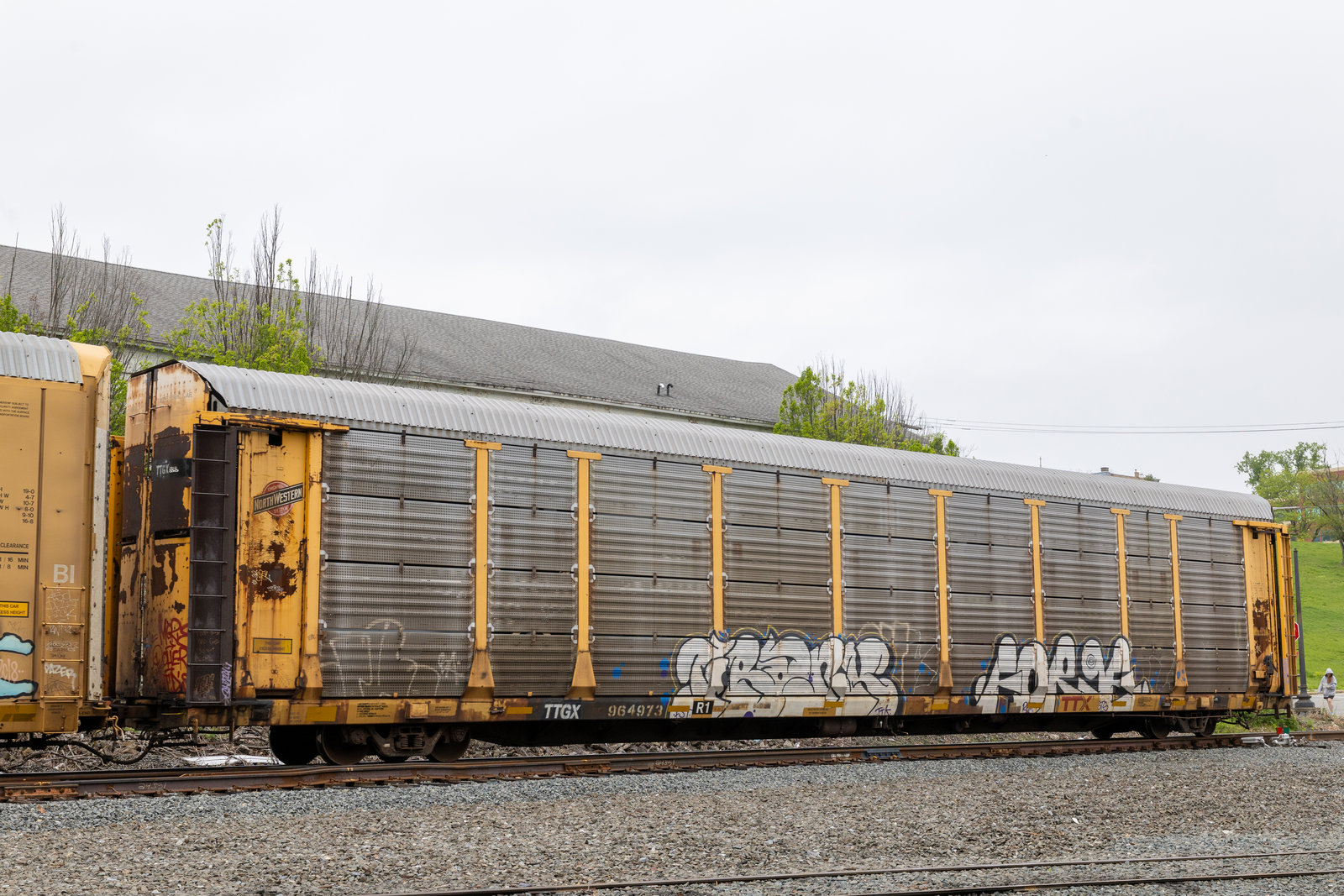 TTGX 964973