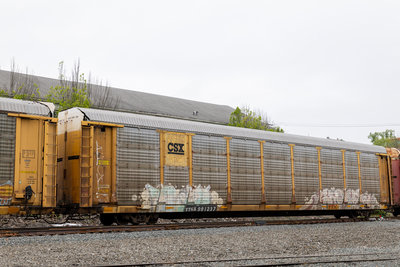 TTGX 991237