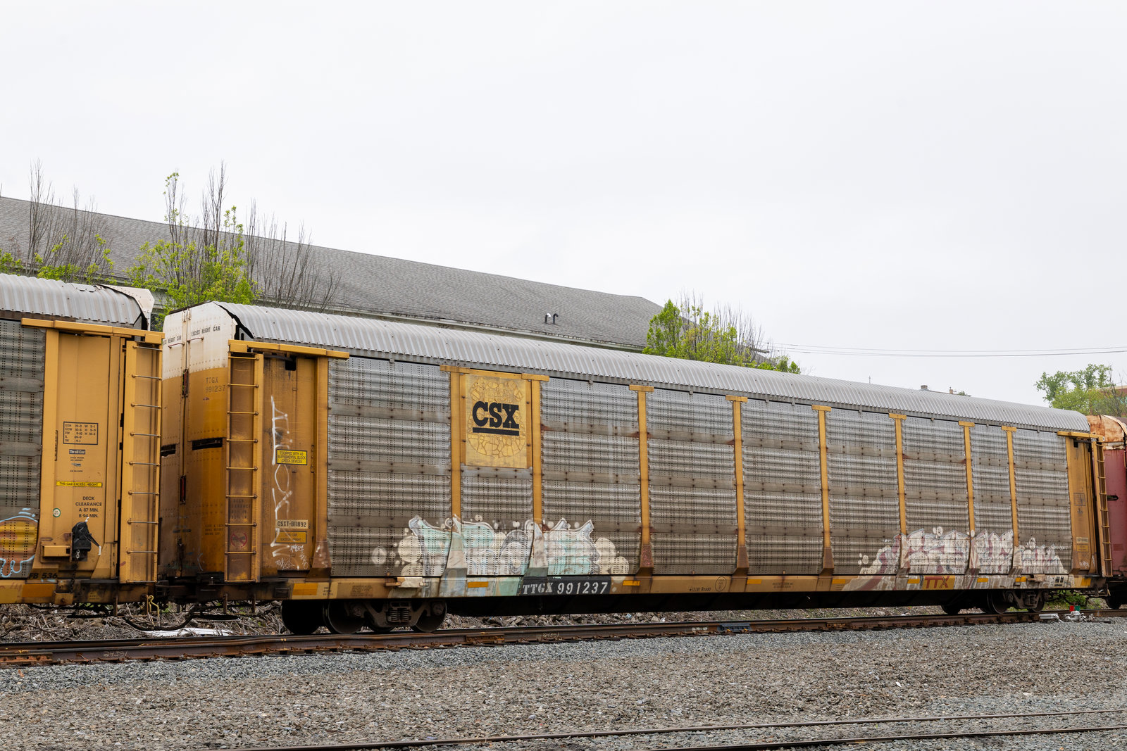 TTGX 991237