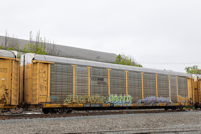 TTGX 973361