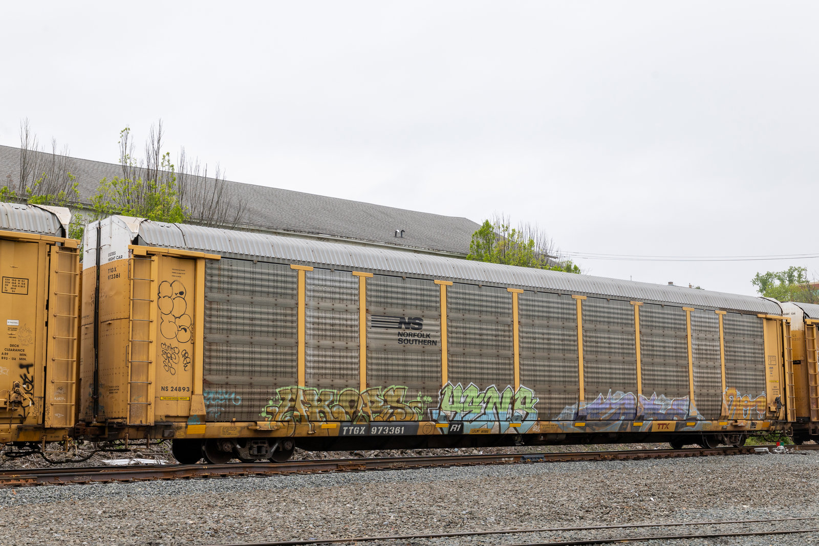 TTGX 973361
