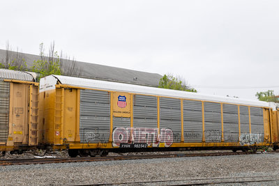 TTGX 982542