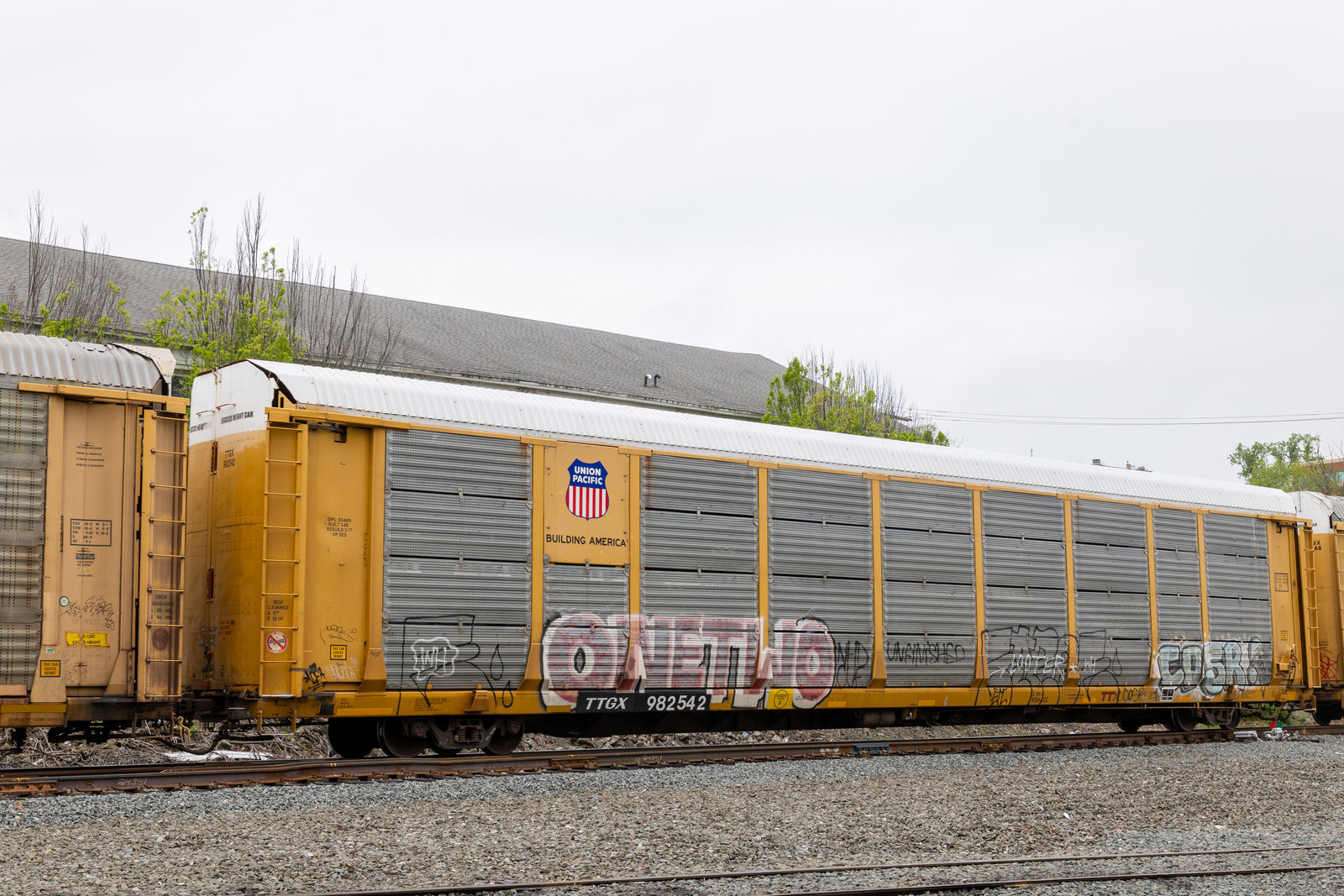TTGX 982542