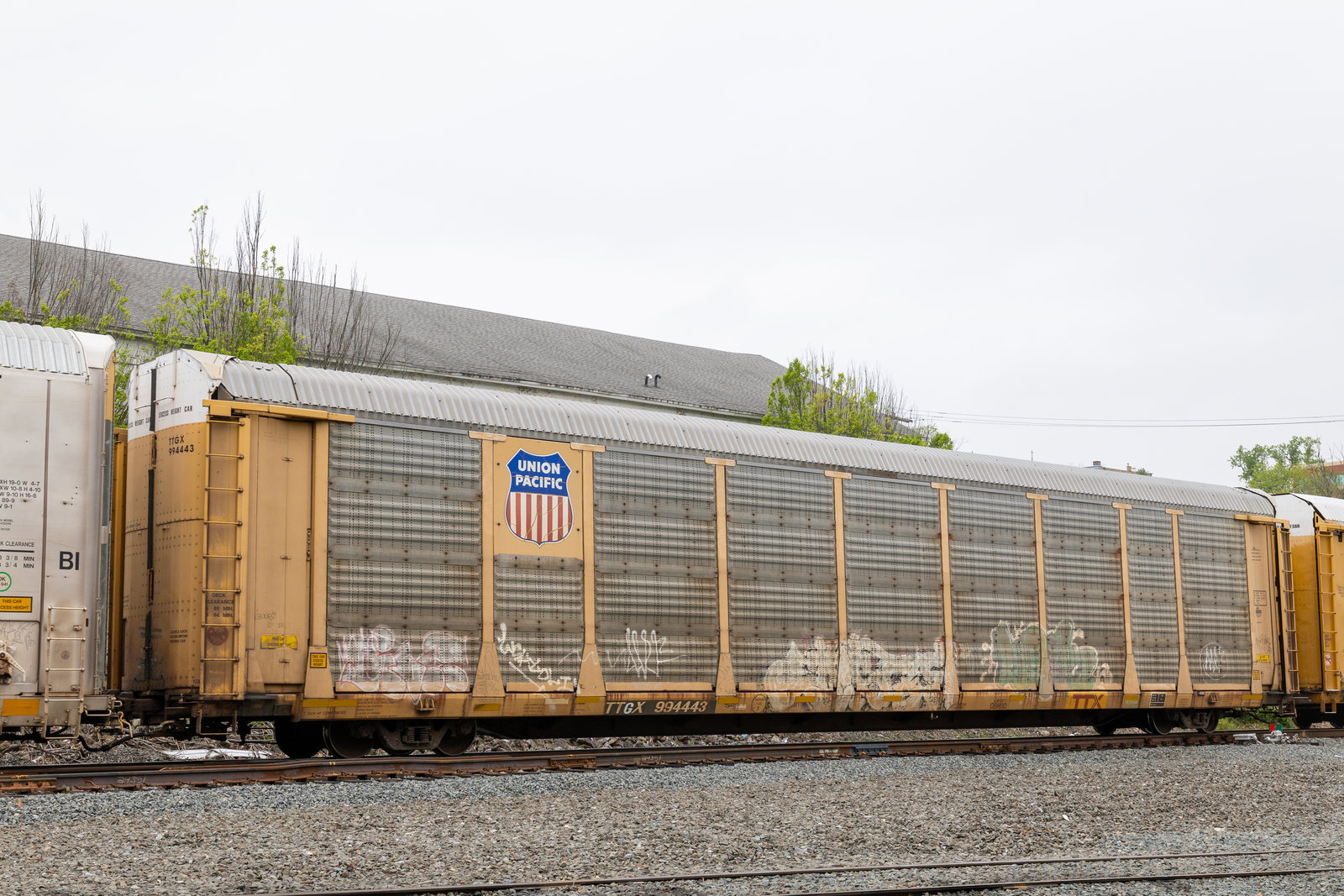 TTGX 994443