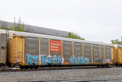 TTGX 988732