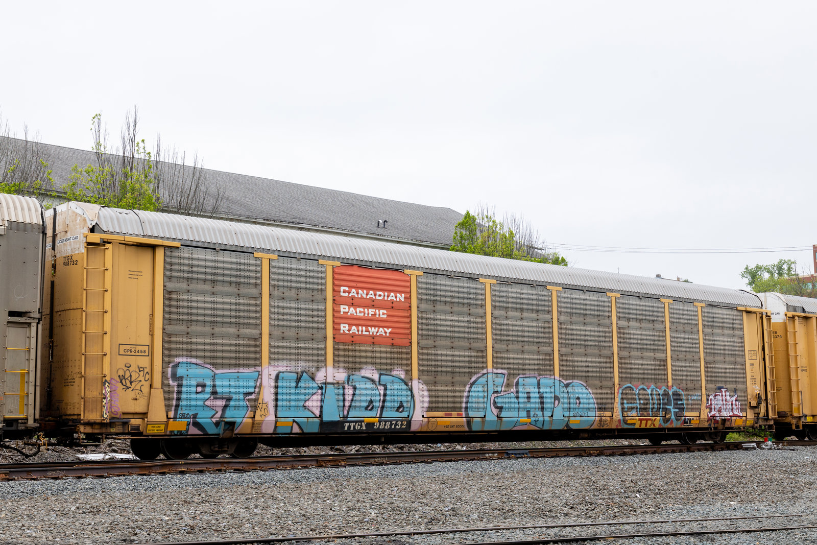 TTGX 988732