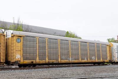 TTGX 989069