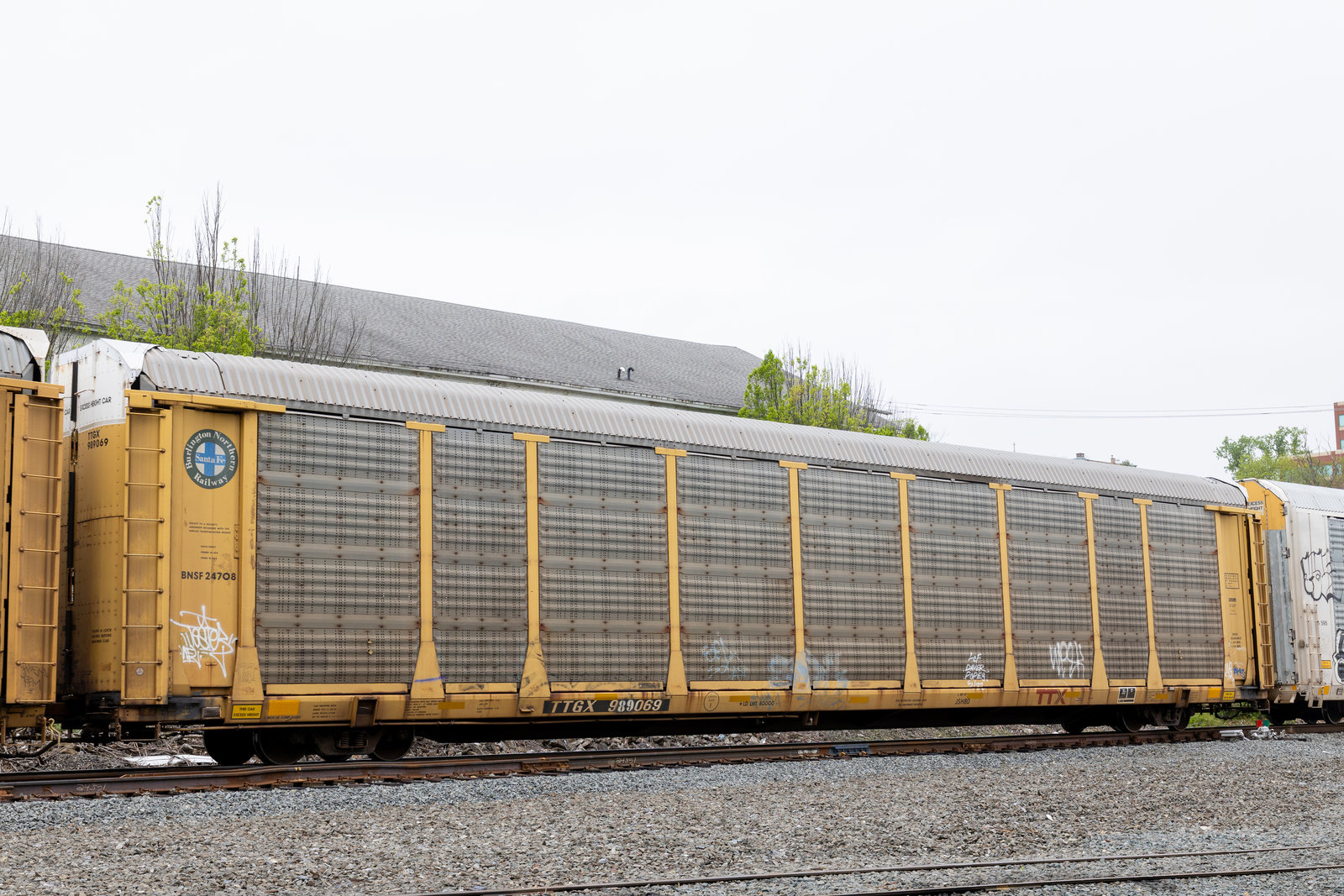 TTGX 989069