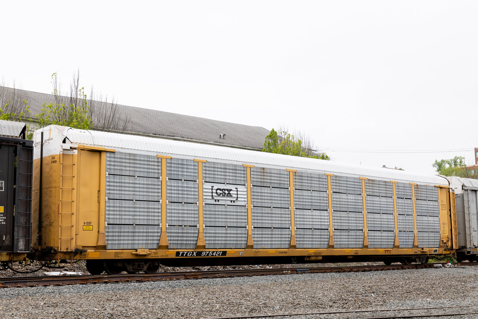 TTGX 975421