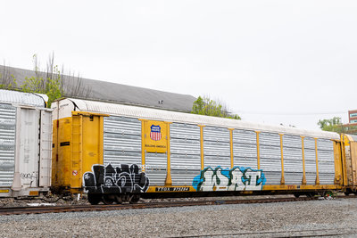 TTGX 975284
