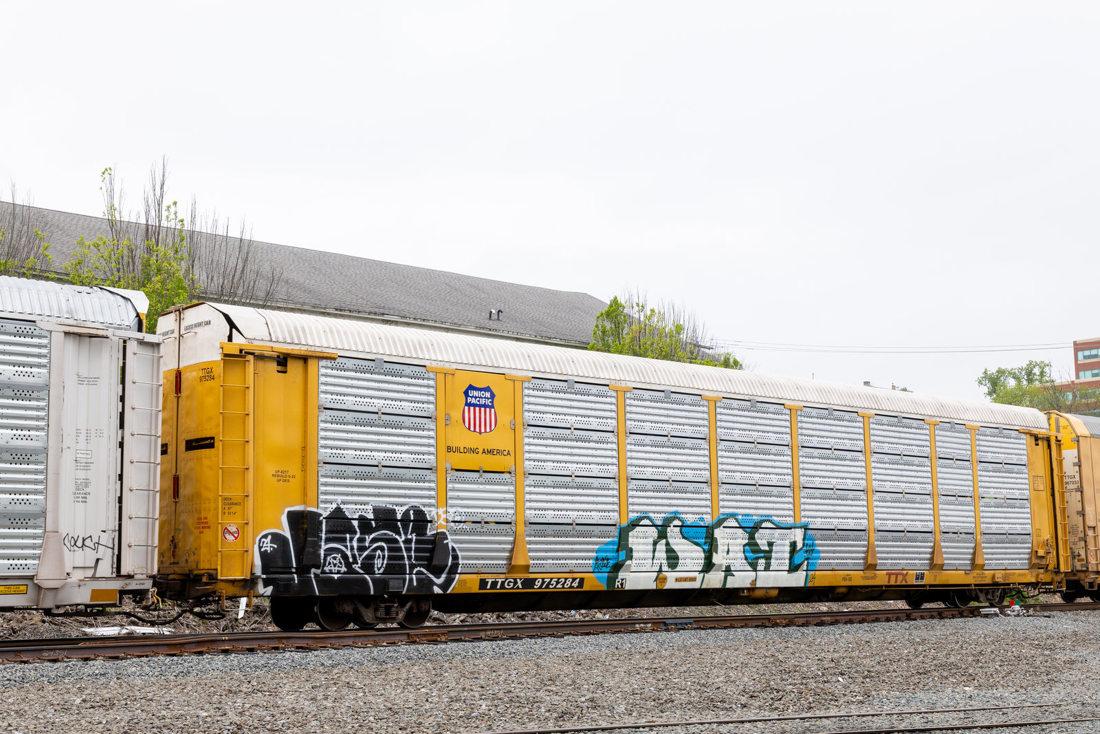 TTGX 975284