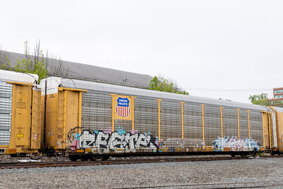 TTGX 988351