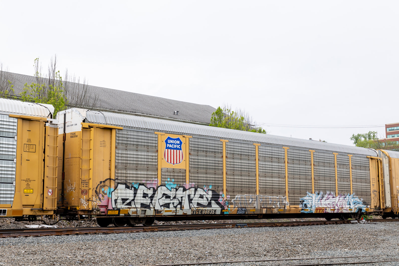 TTGX 988351