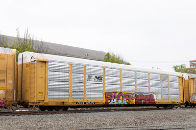 TTGX 985428