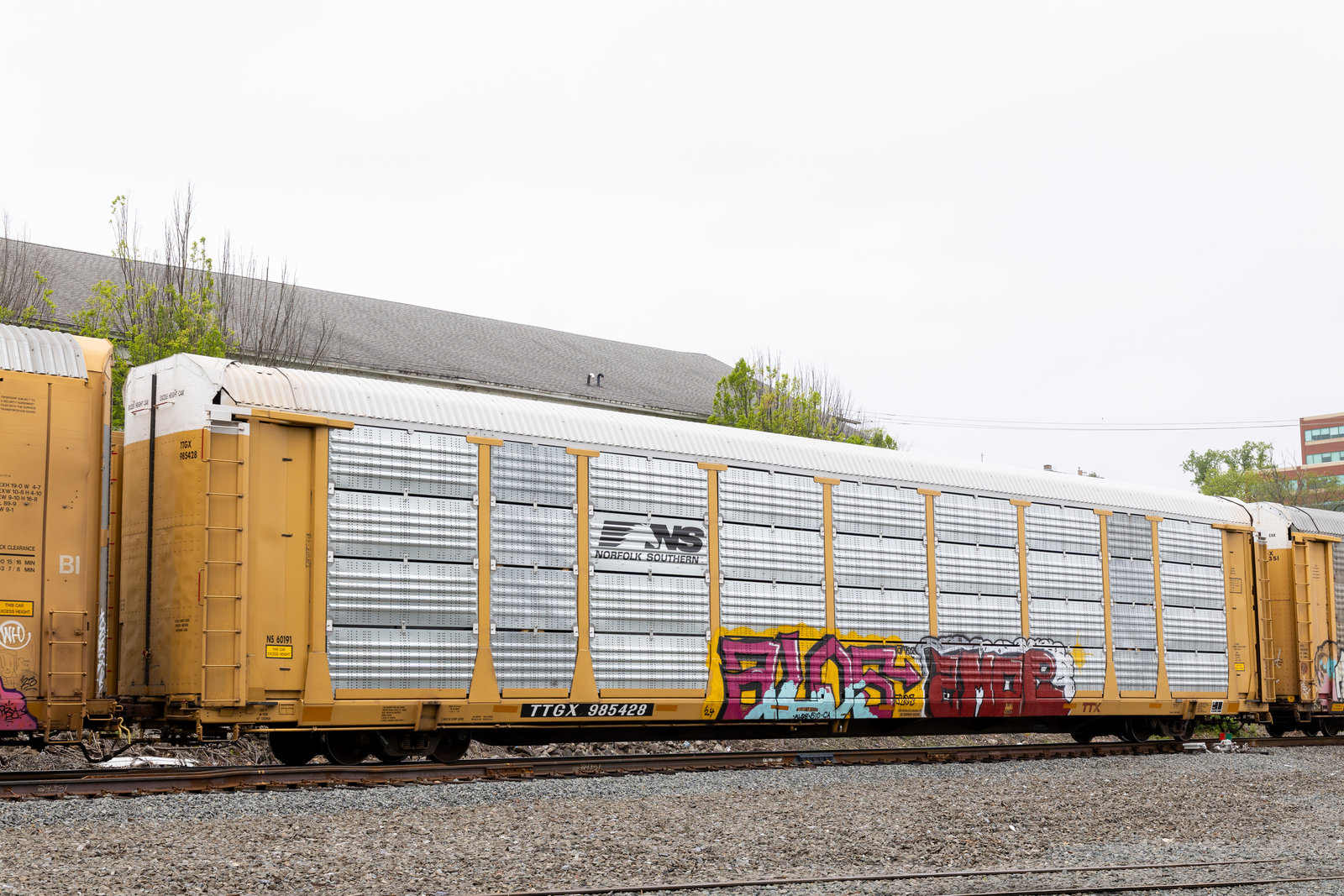 TTGX 985428