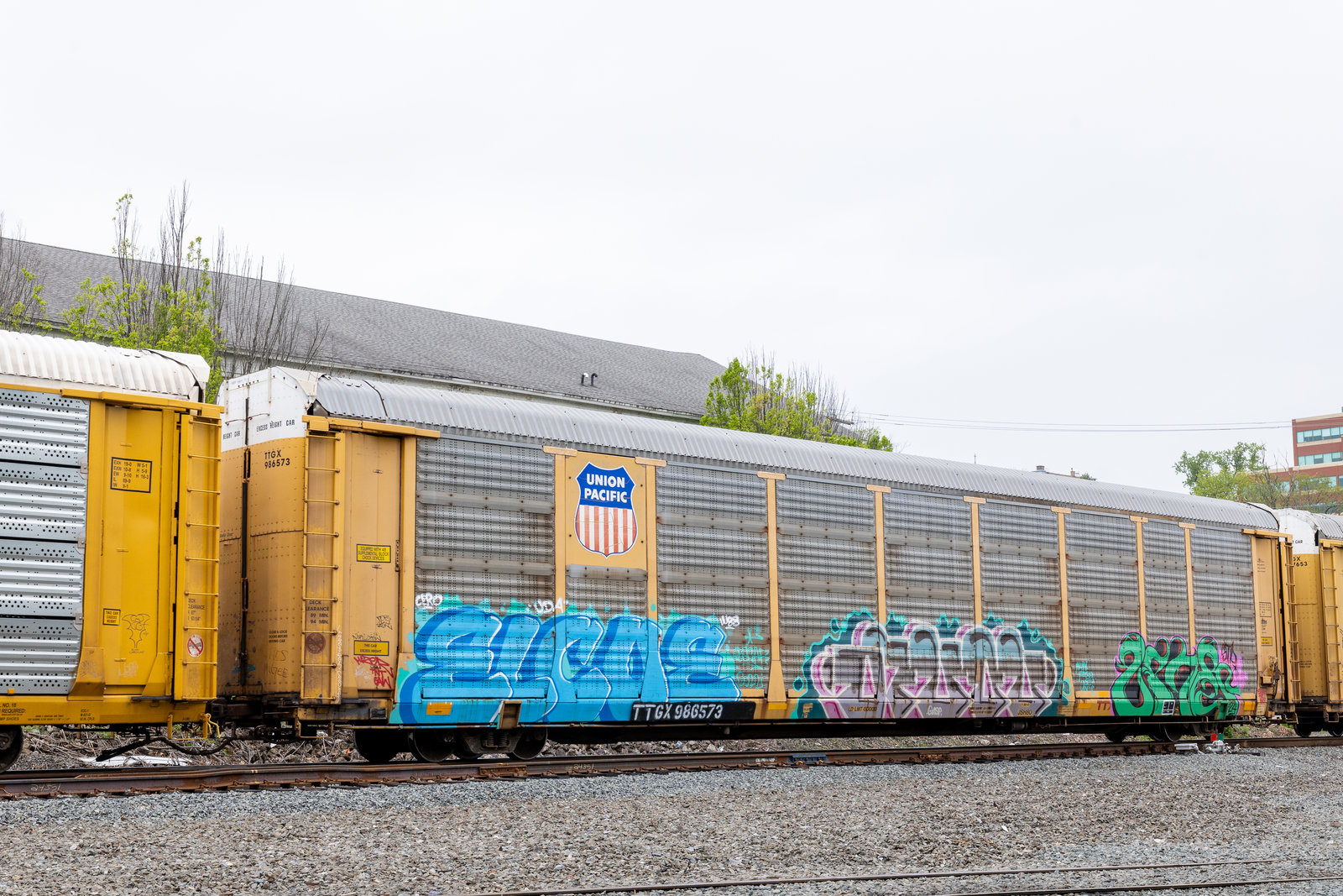 TTGX 986573
