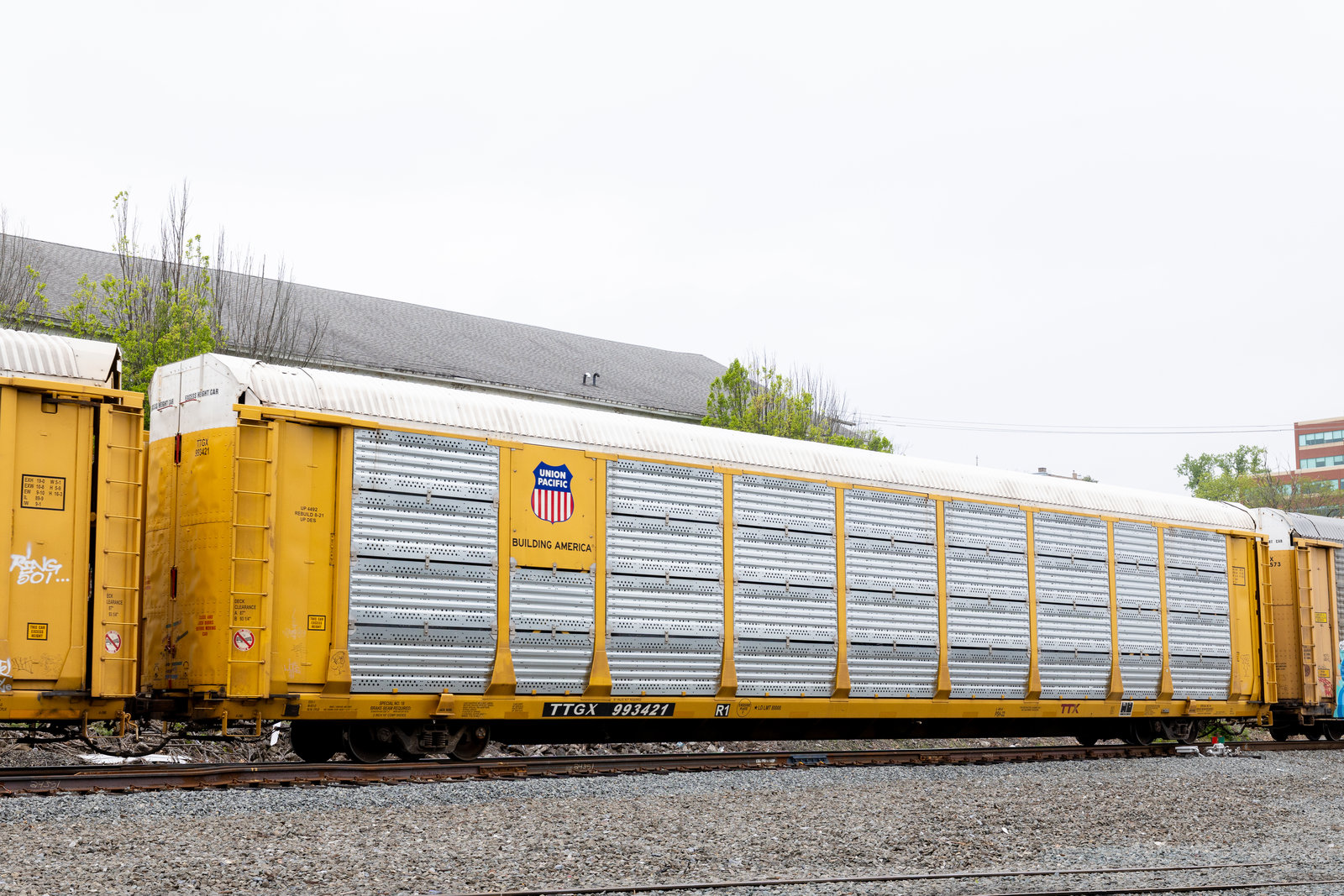 TTGX 993421