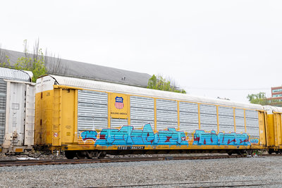 TTGX 982721