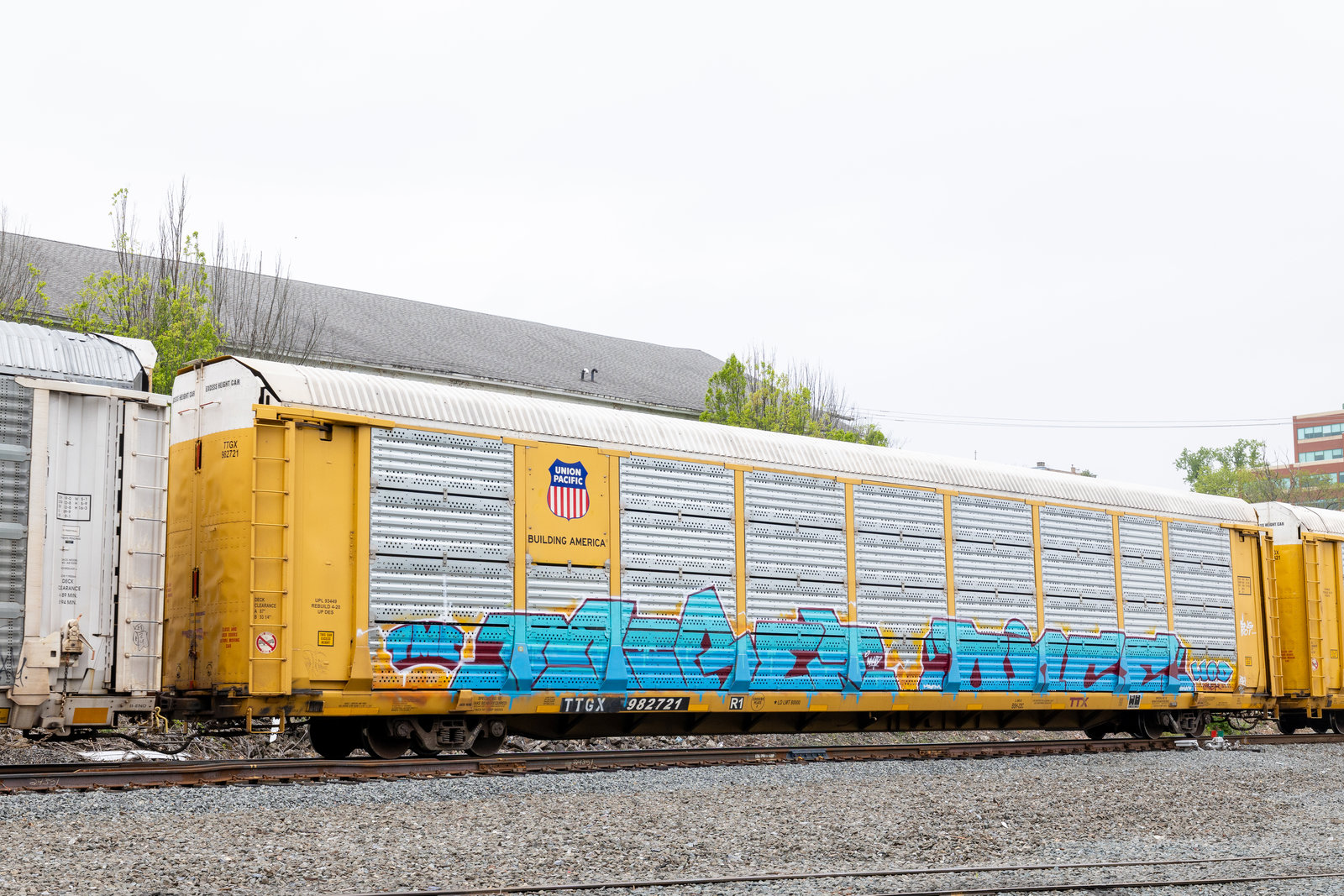 TTGX 982721