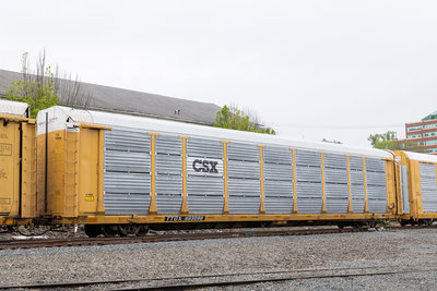 TTGX 993096